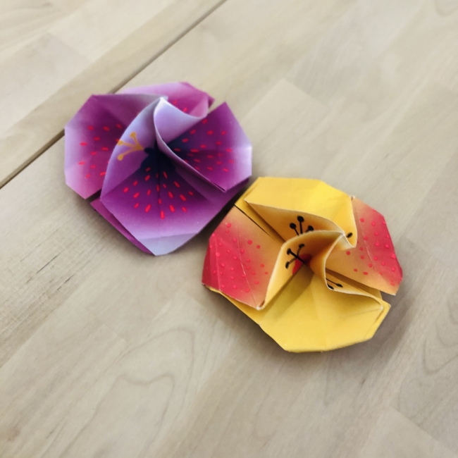 fiori origami zoran hub