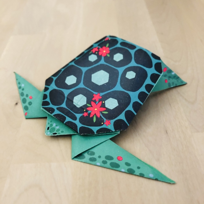 tartaruga origami zoran hub
